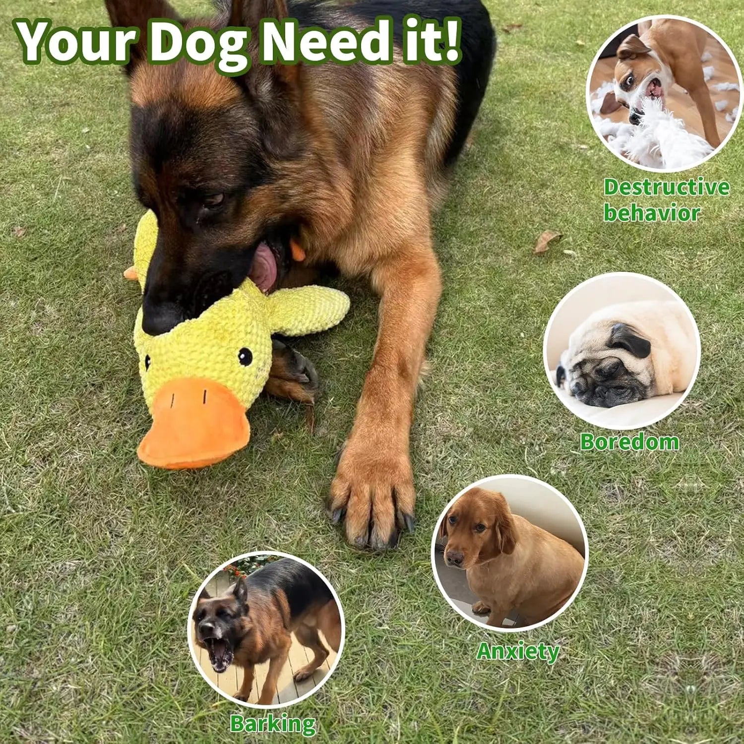 Plush Duck Dog Toy with Quack Sound | Durable Chew & Squeaky Toy