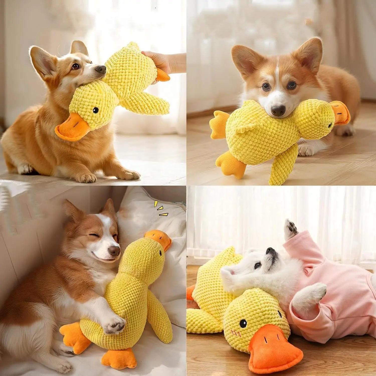Plush Duck Dog Toy with Quack Sound | Durable Chew & Squeaky Toy